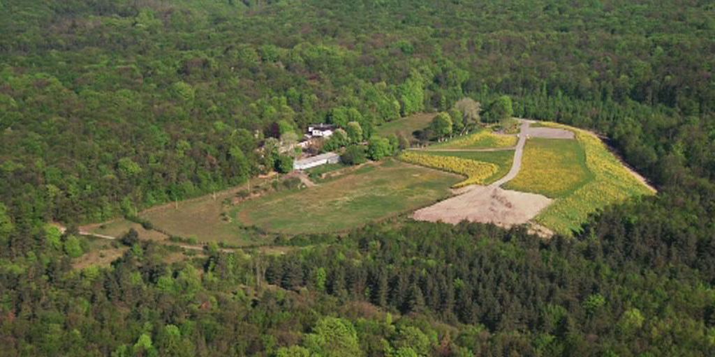 Premiere für Jenaer Waldweihnacht