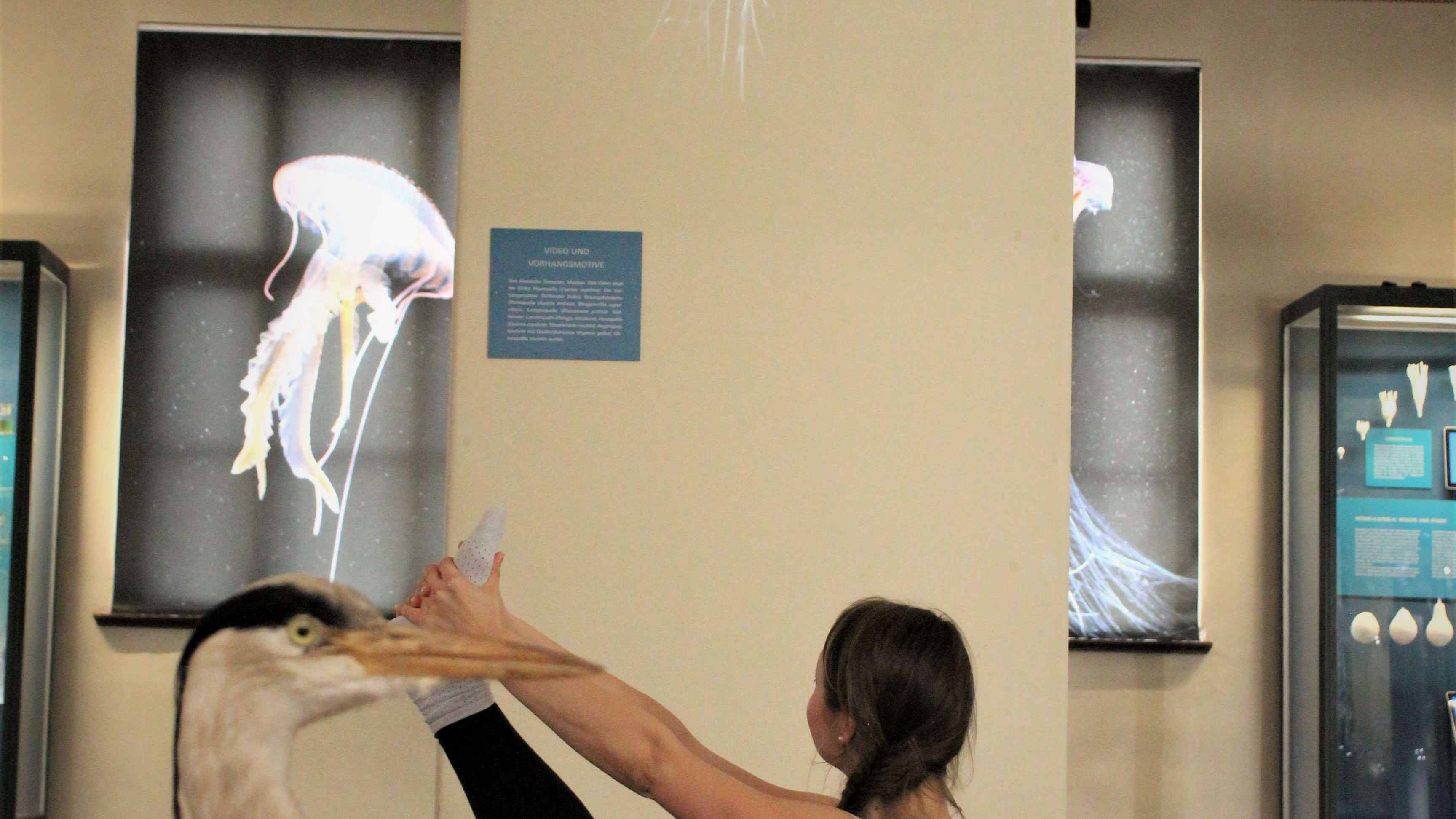 „Yoga im Museum“