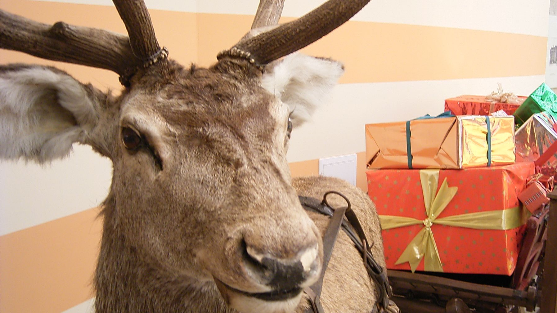 Schönste Schaufensterweihnachtsdekoration gesucht