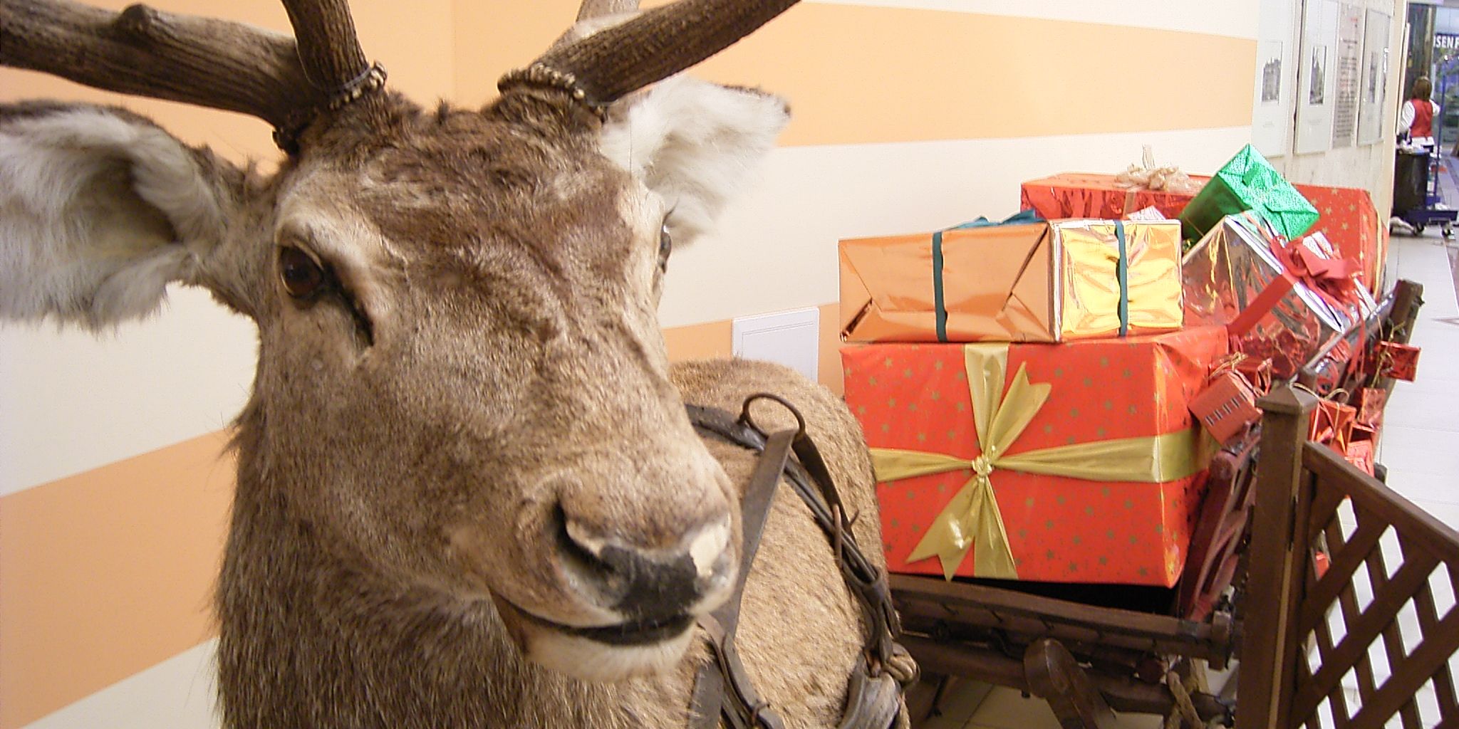 Schönste Schaufensterweihnachtsdekoration gesucht