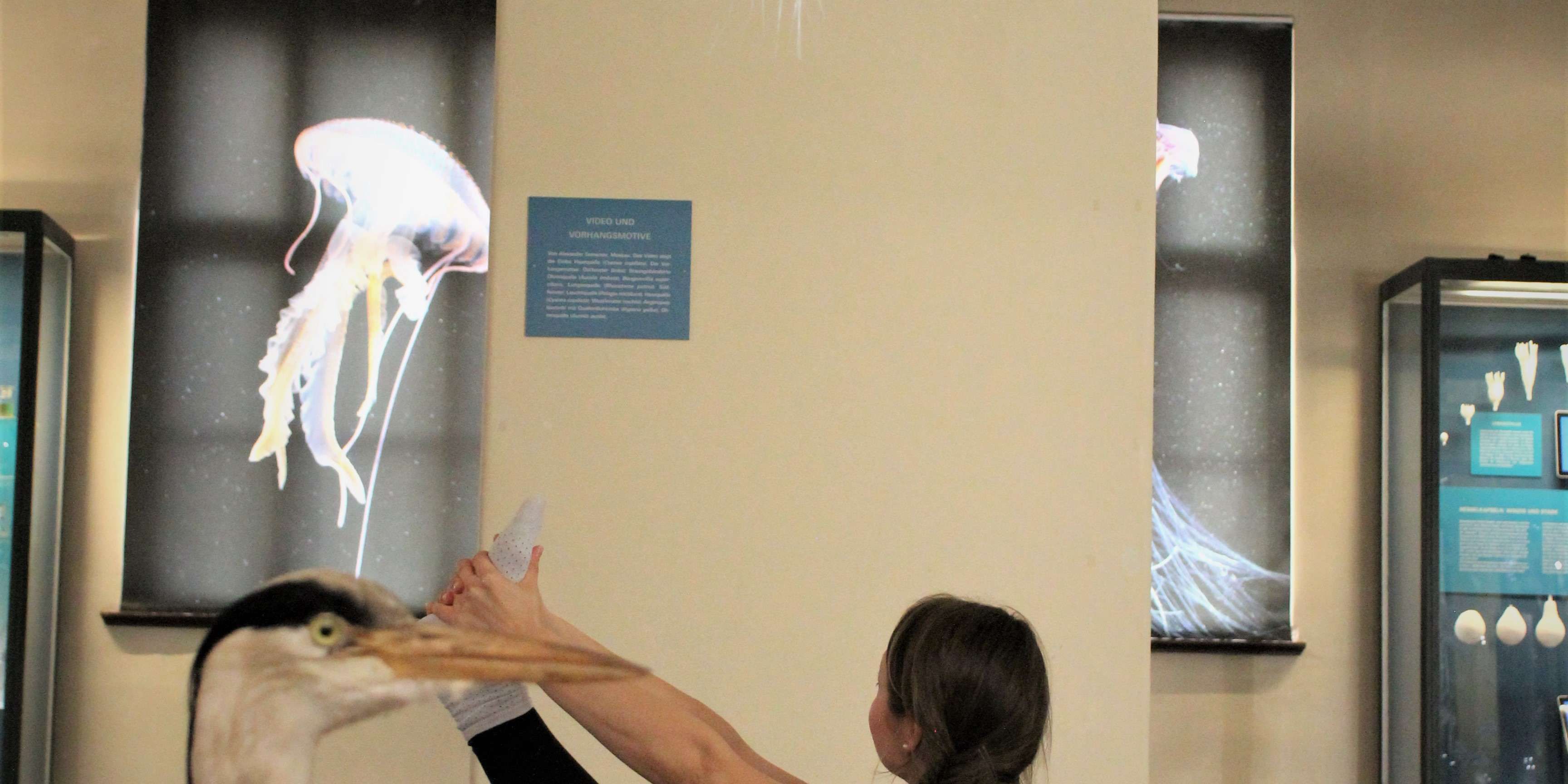 „Yoga im Museum“ „Yoga im Museum“