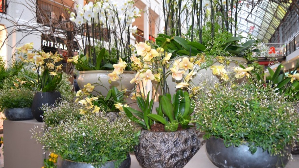 Frühlingsgefühle in der Goethe Galerie 