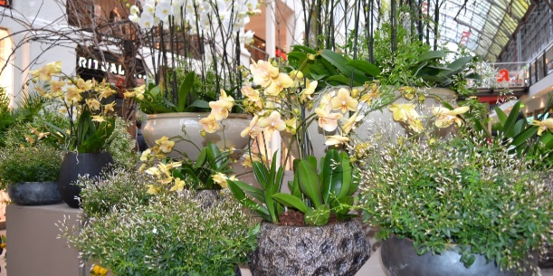 Frühlingsgefühle in der Goethe Galerie 