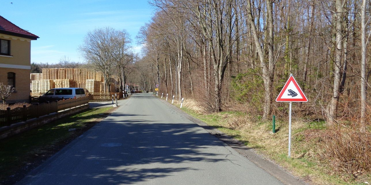 Amphibienschutz im Saale-Holzland-Kreis 