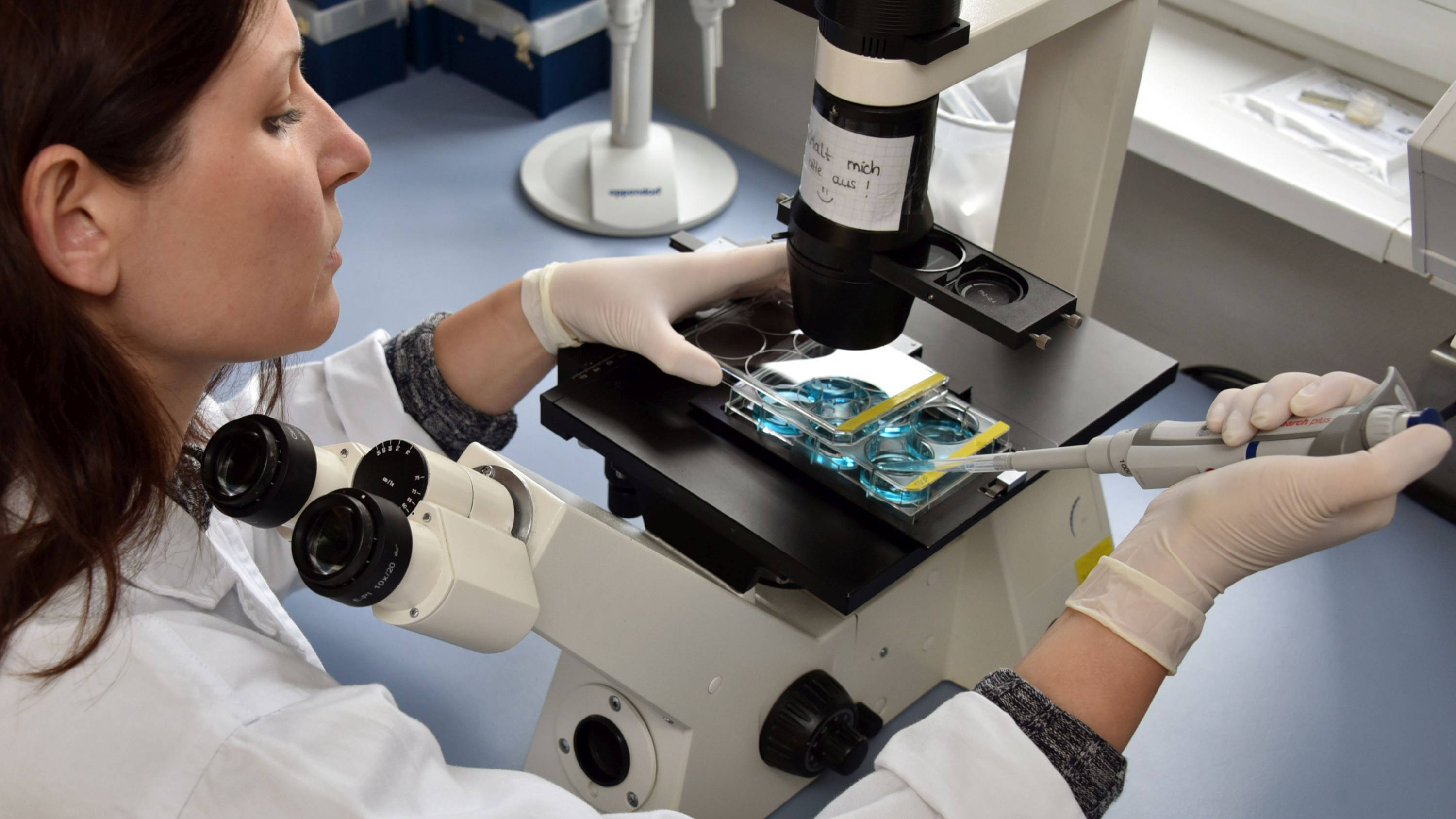 Nanomaterialien verpacken heilsame Pflanzenextrakte 