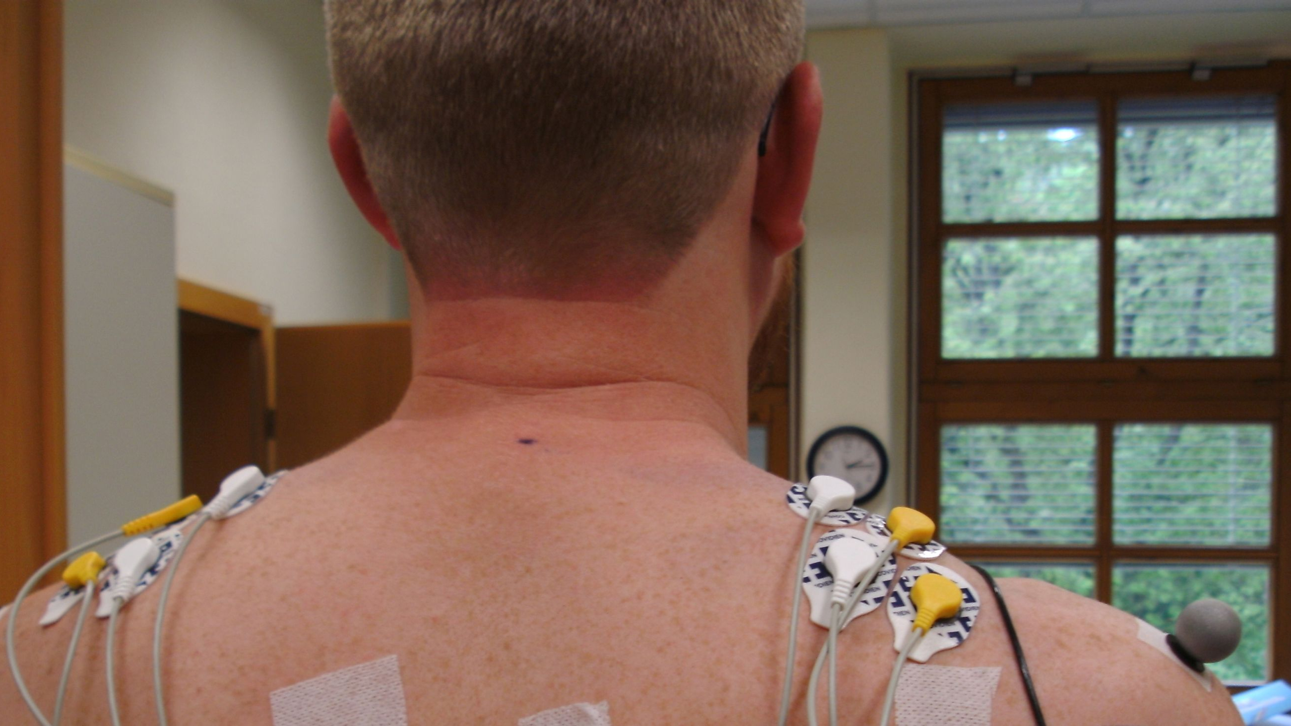 Probanden für Muskelaktivitätsmessung gesucht