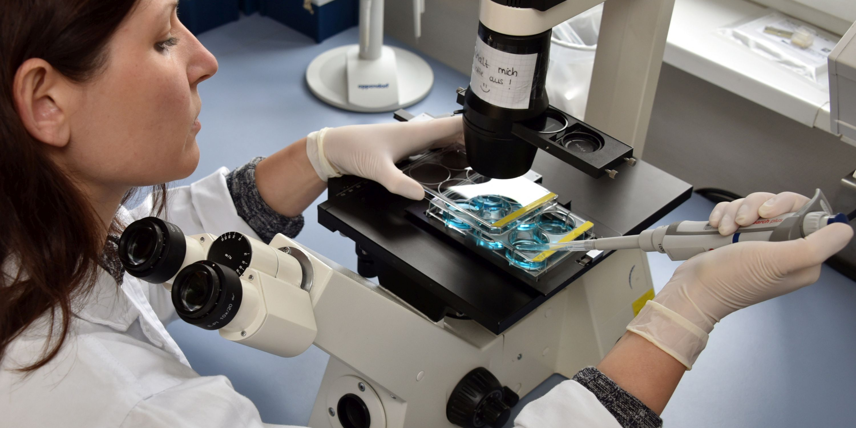 Nanomaterialien verpacken heilsame Pflanzenextrakte 