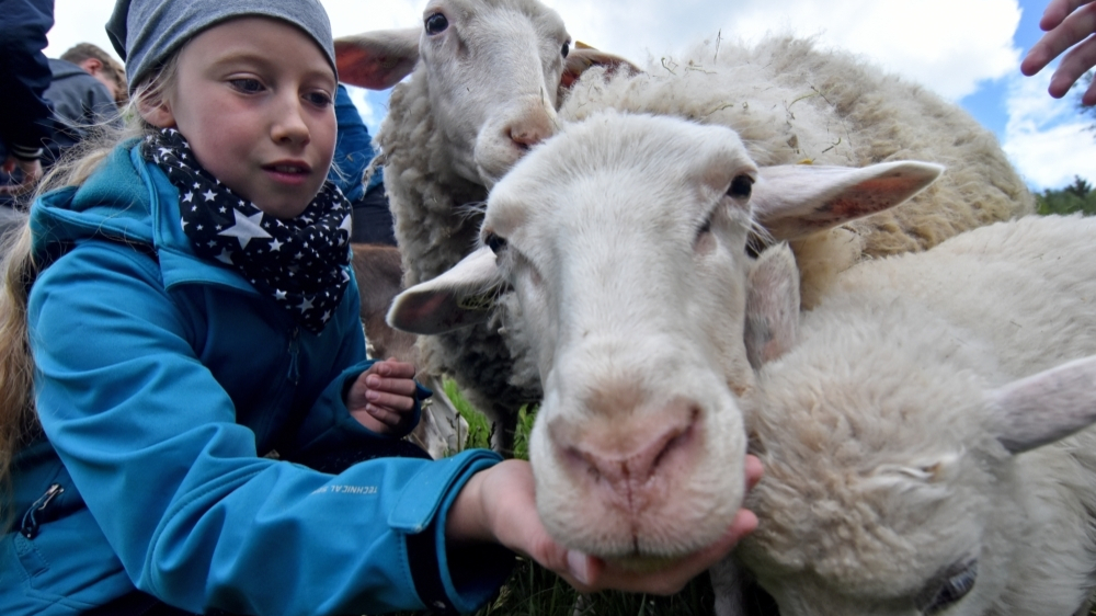 Aktionen gegen das Artensterben gesucht
