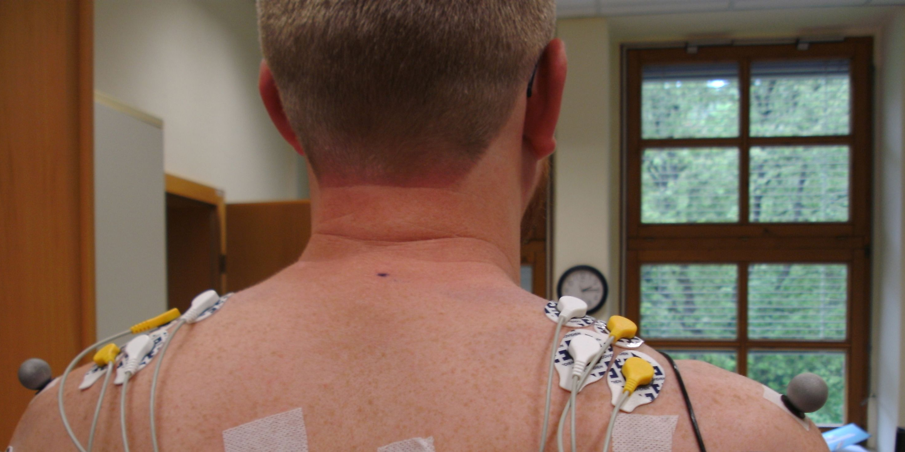 Probanden für Muskelaktivitätsmessung gesucht