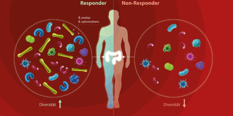 Mikrobiom: Therapieprognose bei Krebs? 