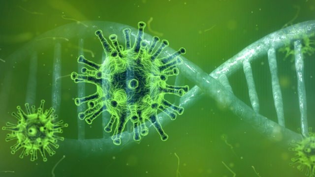 Acht neue bestätigte Corona-Fälle