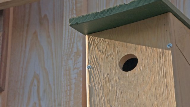 Brutquartiere für Vögel selber bauen