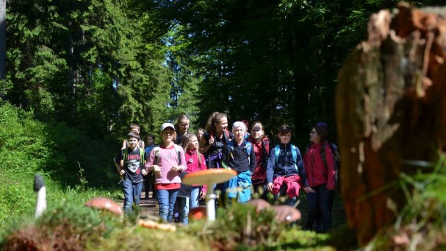 Waldjugendspiele bis Ende Mai ausgesetzt