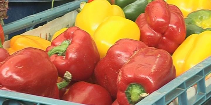 Foodsharing verschenkt Lebensmittel in Winzerla