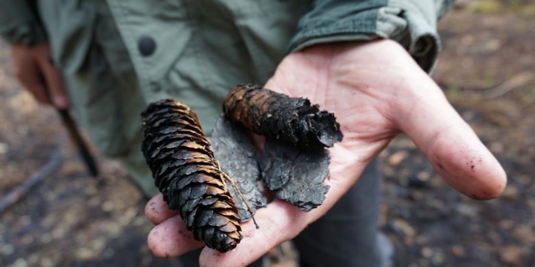 Hohe Waldbrandgefahr schon im Frühjahr 