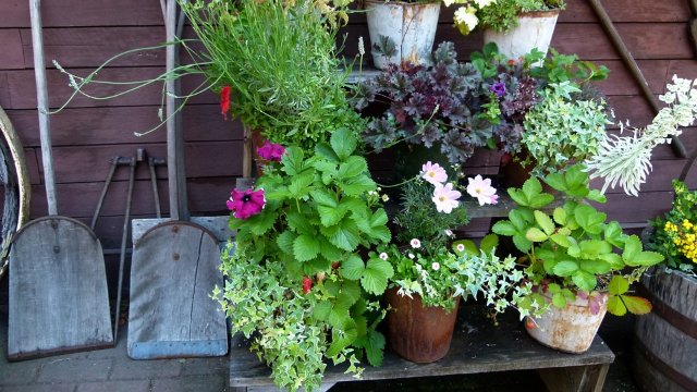 Grüne Oasen in Jena – Bewerbungsfrist verlängert