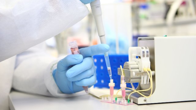 Jenaer Forscher entwickeln neues Lungenbläschen-Modell