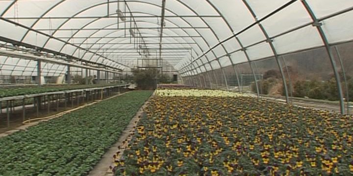 Gärtnerei am Erlkönig ab heute geöffnet