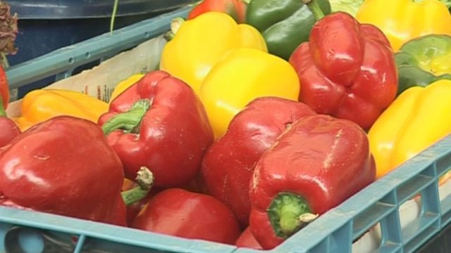 Foodsharing verschenkt Lebensmittel in Winzerla