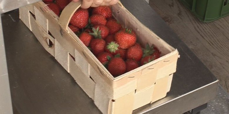 Jobs für Schüler und Studenten 