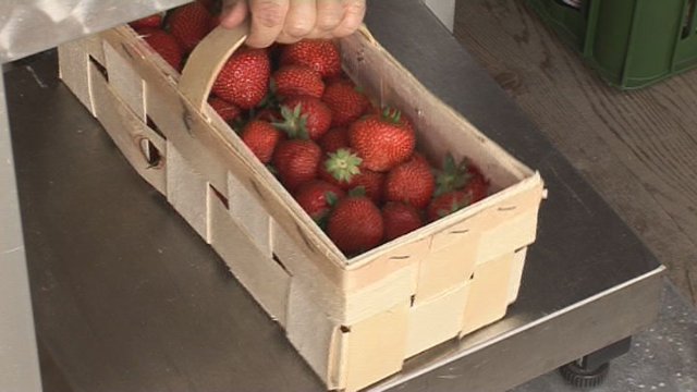 Jobs für Schüler und Studenten 