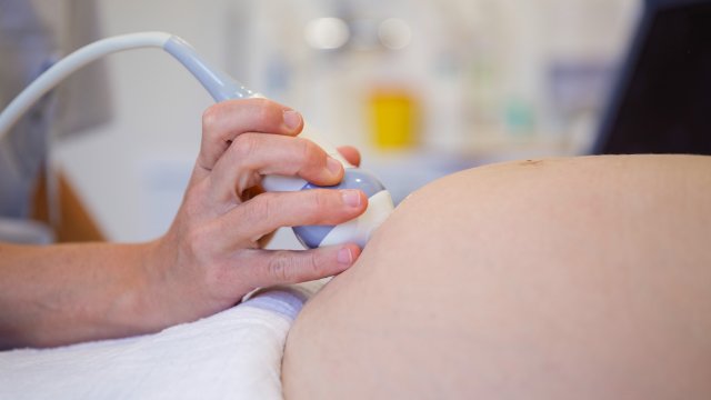 Mehr Service für werdende Eltern