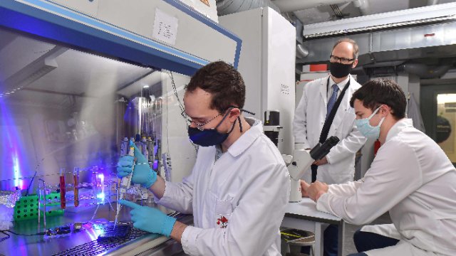 Zellen mit Licht steuern