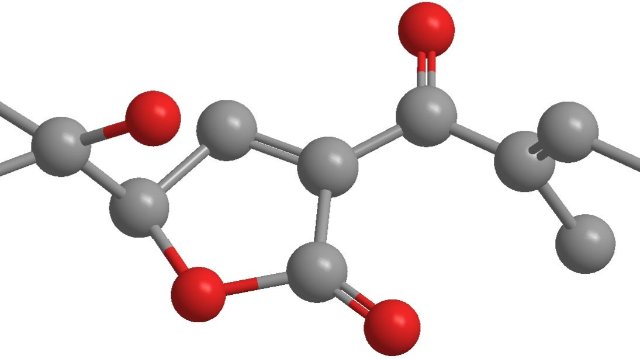 Leibniz-Wirkstoff des Jahres 2020 kommt aus Jena