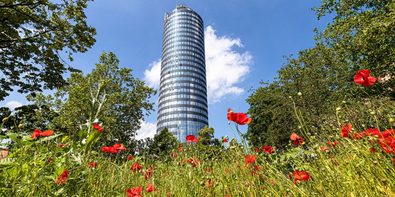 Bilderausstellung im Jentower