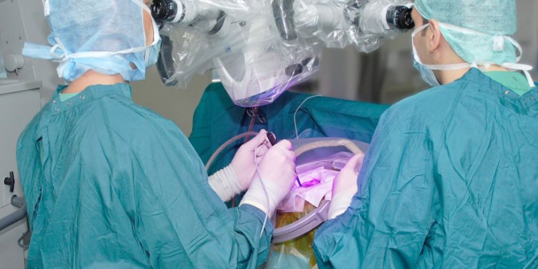 Kompetenz bei Hirntumoren