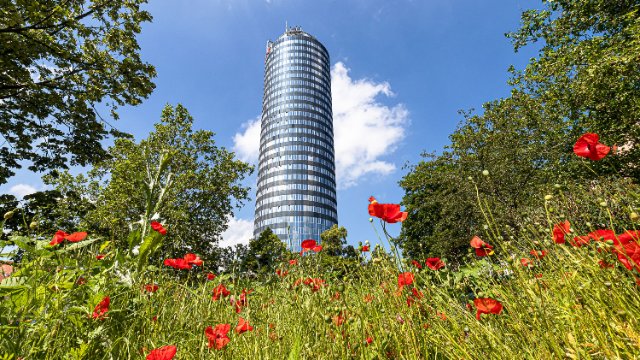 Bilderausstellung im Jentower