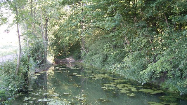 Netzwerk Natura-2000-Stationen gehört zu Finalisten 