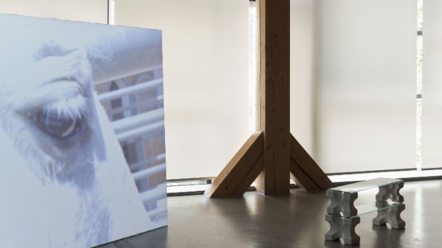 Jenaer Kunstverein verlängert Ausstellung