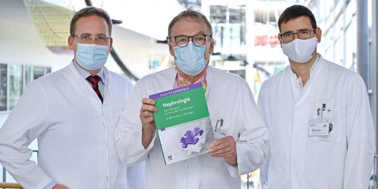 Komplexität der Niere verständlich erklärt