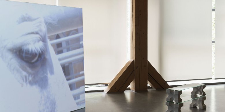 Jenaer Kunstverein verlängert Ausstellung