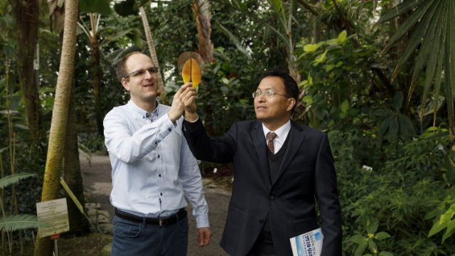 Leibniz-IPHT-Forscherteam als Licht-Designer