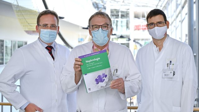 Komplexität der Niere verständlich erklärt