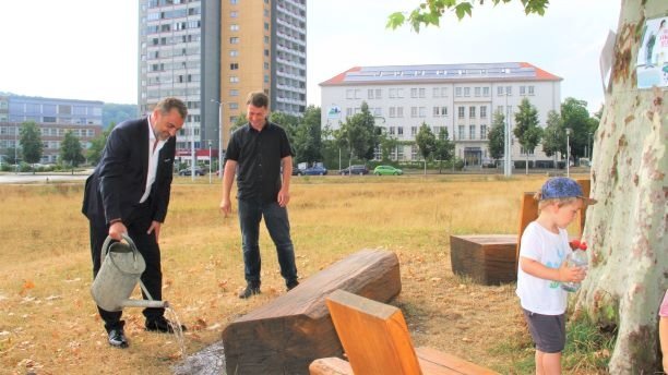 Bürgeraufruf zum Wässern der Stadtbäume 