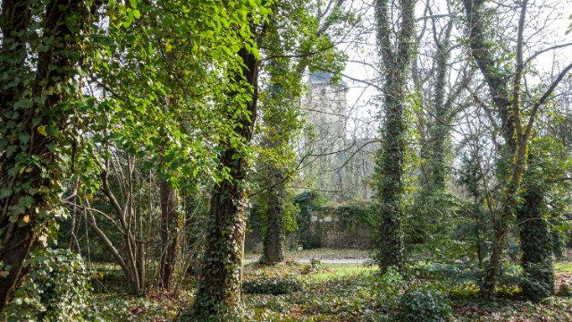 Heute ist Abschluss der SommerGartenKonzerte