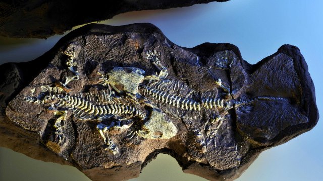 Jenaer Forscher an Ausgrabungen auf dem Bromacker beteiligt