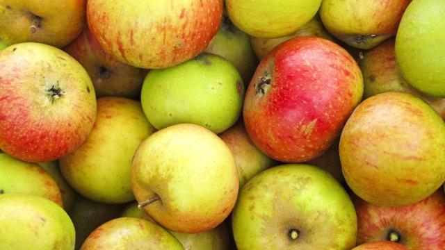 20 Mostereien für eigenes Obst in Thüringen