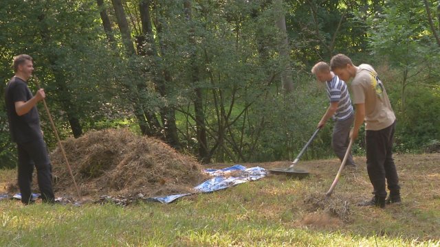 Freiwilligentag: Bei der 16. Auflage waren mehr als 400 Helfer im Einsatz