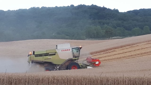 Ehrenpreis für Grüne Berufe 