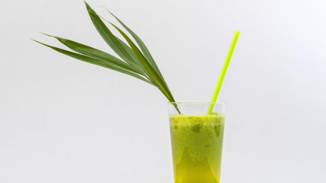 Studie zum Algenverzehr: Freiwillige gesucht