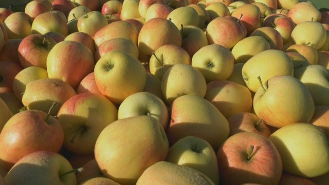 Erntedank-Nachmittag in Großlöbichau