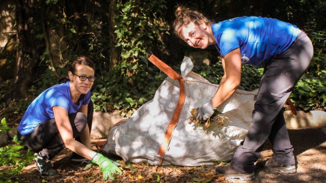 Noch freie Plätze beim Freiwilligentag