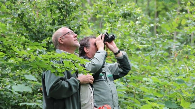 Thüringens Wälder im großen Nachhaltigkeits-Check