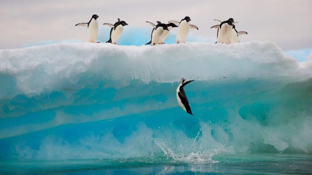 Meta-Studie beweist: Hunger erhöht Risikobereitschaft