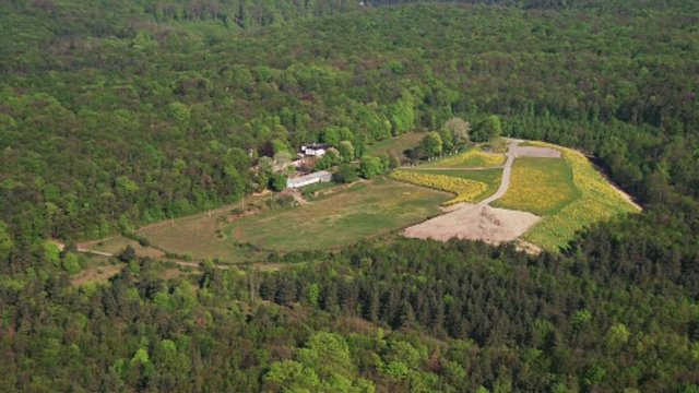AltlastenWanderung auf dem Jenaer Forst Jena TV Sehen, was bewegt.