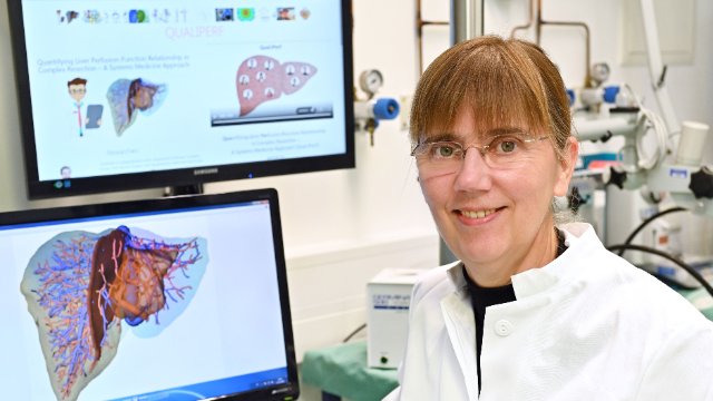 Lebermodell für bessere Prognosen